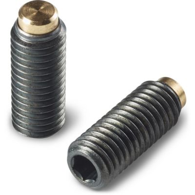 THREADED GRUB SCREW WITH HEX SOCKET & BRASS POINT